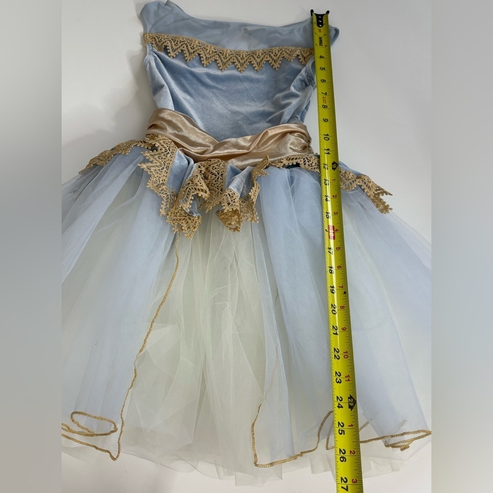 Weissman Dance Ballet Costume La Valse De L’Amour Blue Size IC - Picture 7 of 12